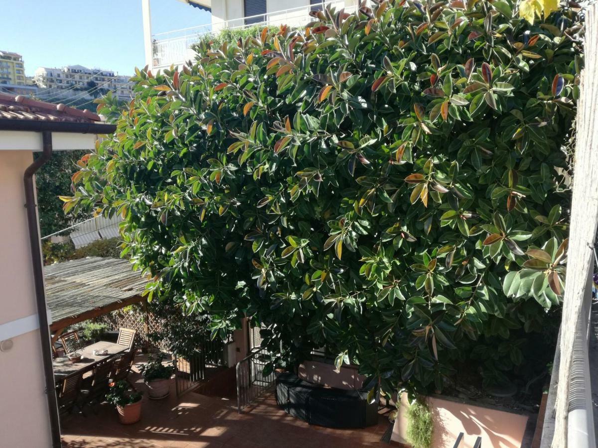 Villa Bruna B&B 圣雷默 外观 照片